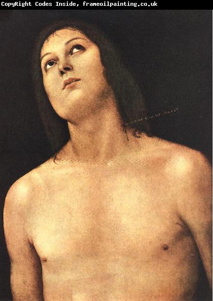 PERUGINO, Pietro Bust of St. Sebastian sg
